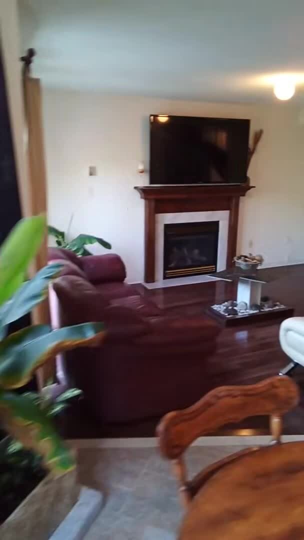 Property video