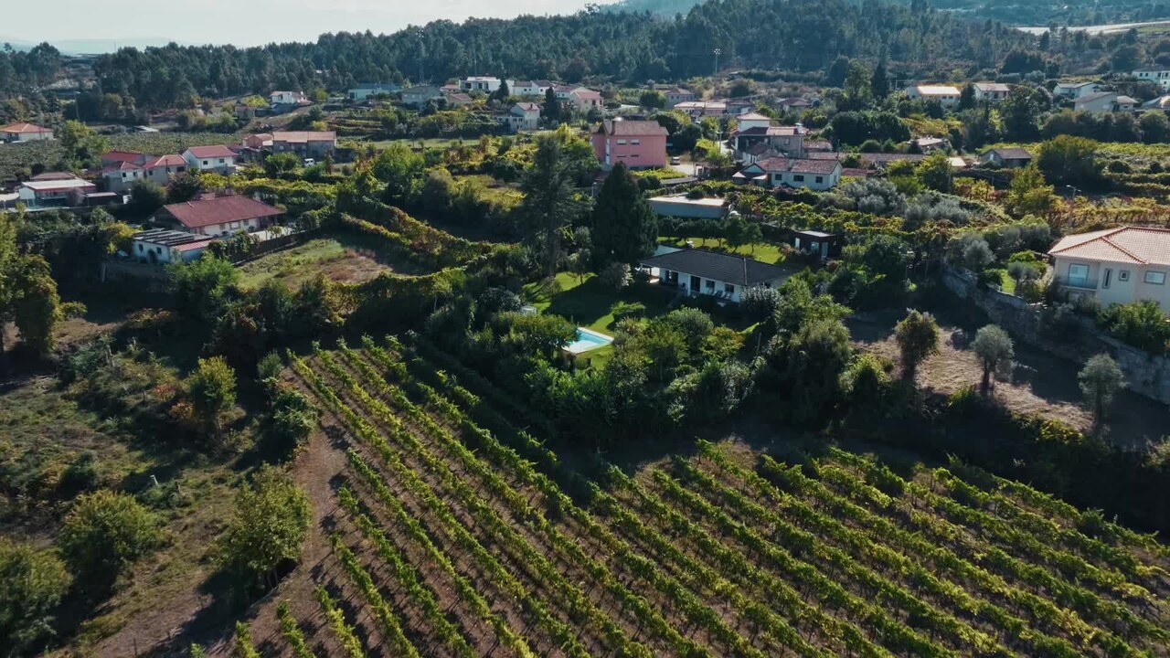 Vídeo hecho por el alojamiento