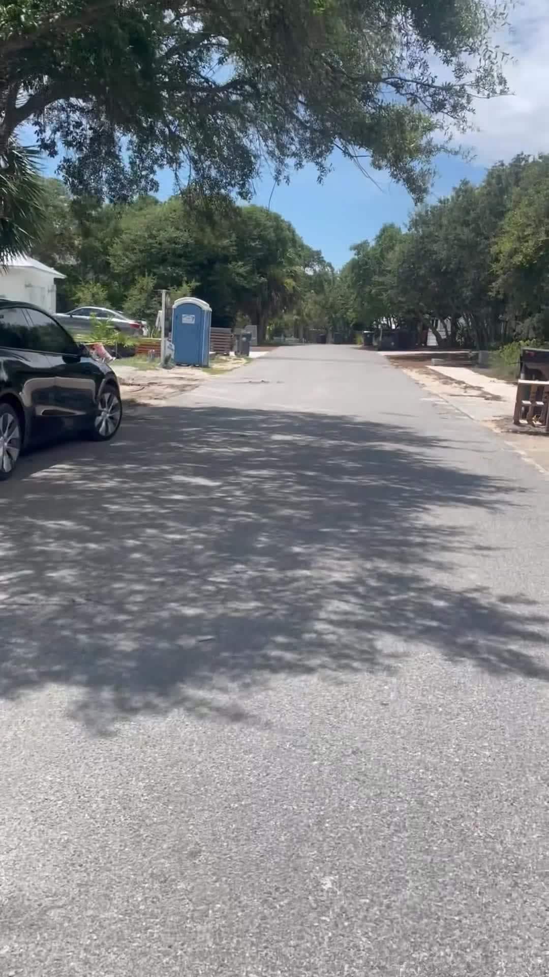Property video