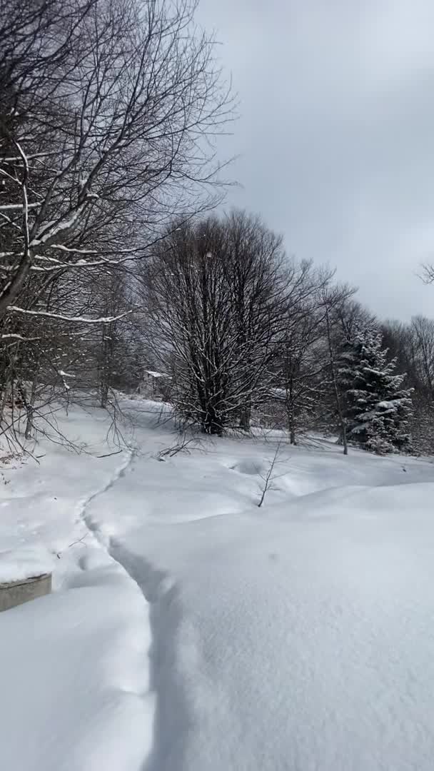 Vidéo de l’hébergement