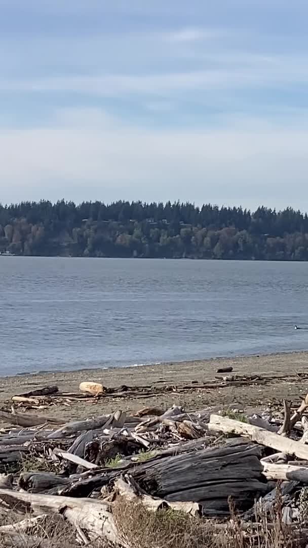 宿泊施設による動画