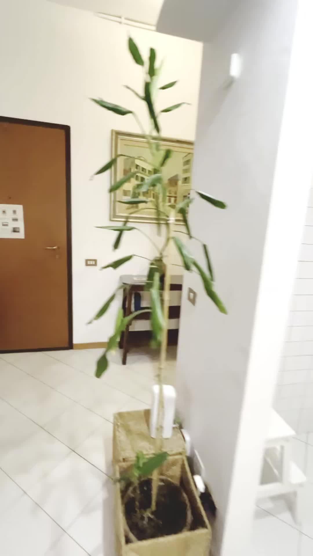 Video der Unterkunft