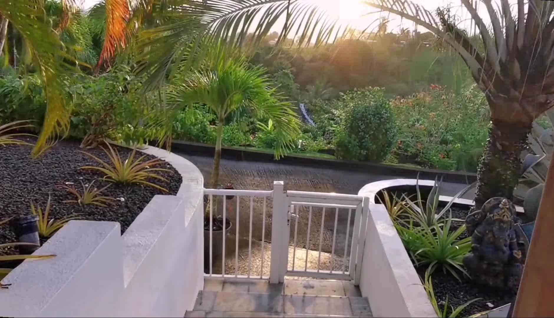 Video realizado por la propiedad