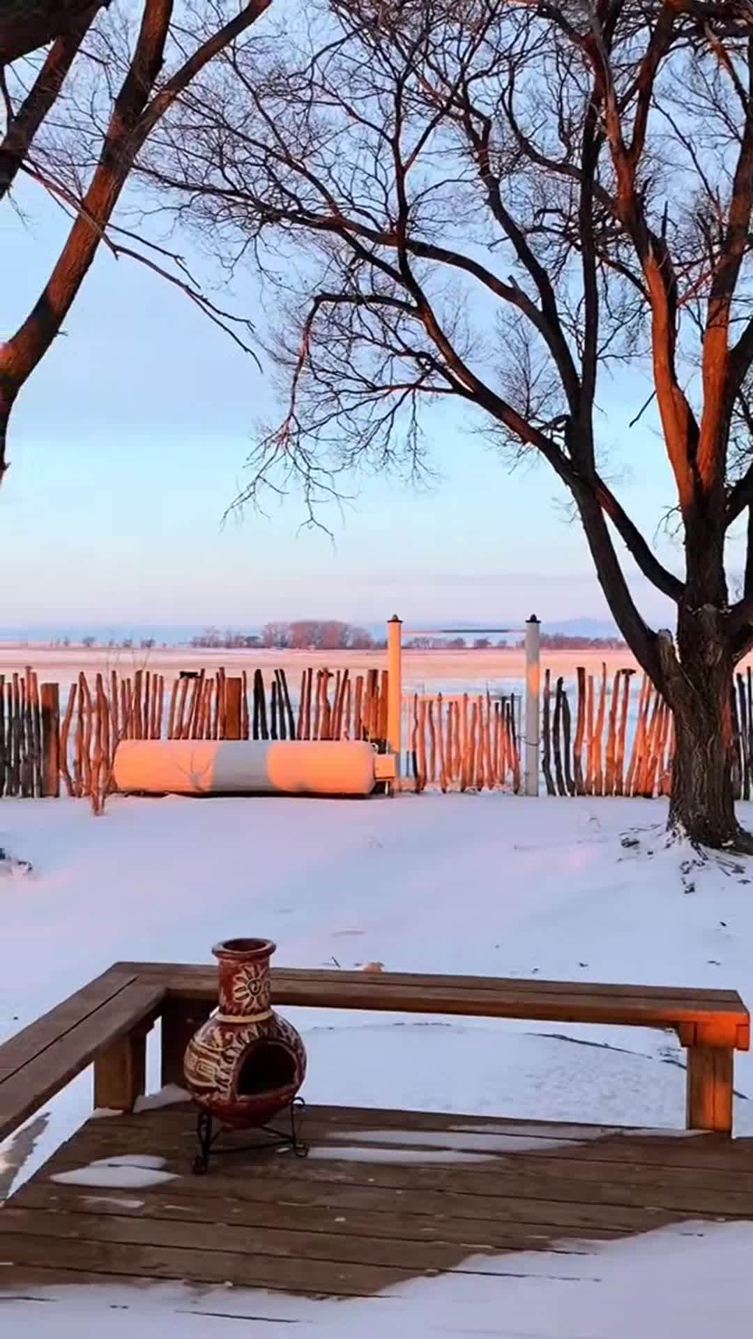 Property video