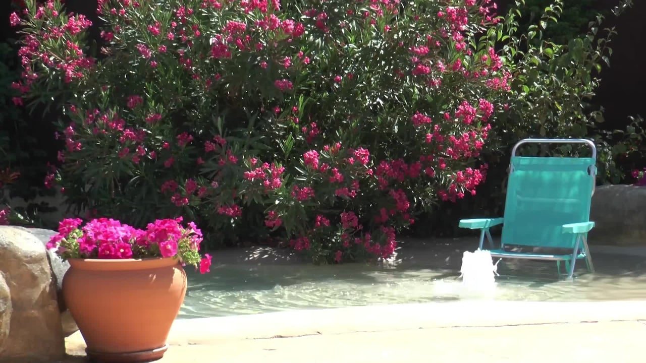 Video der Unterkunft
