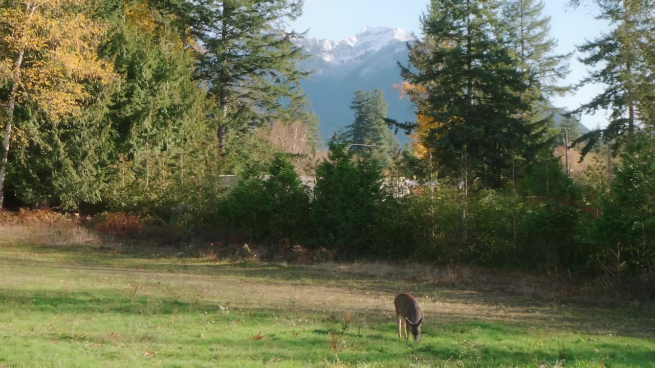 Video af overnatningsstedet