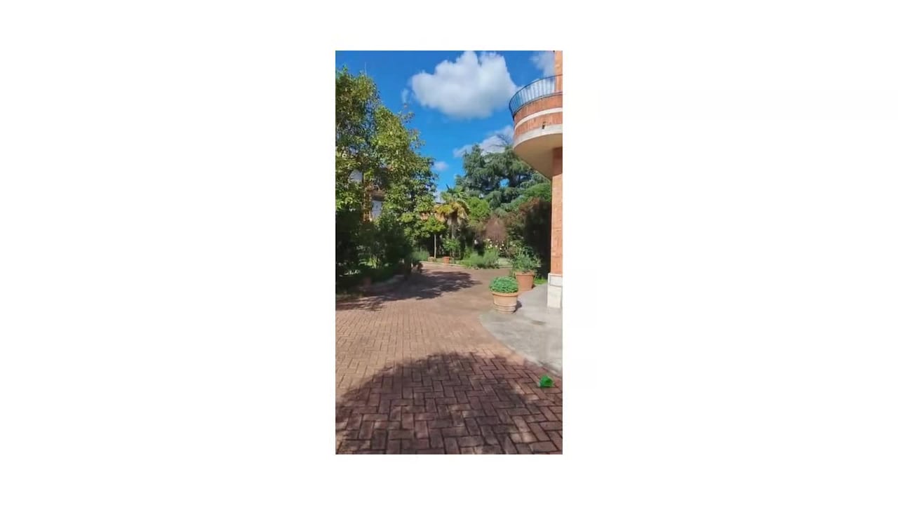 Property video