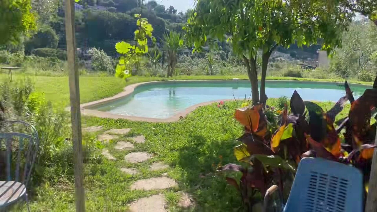 Property video