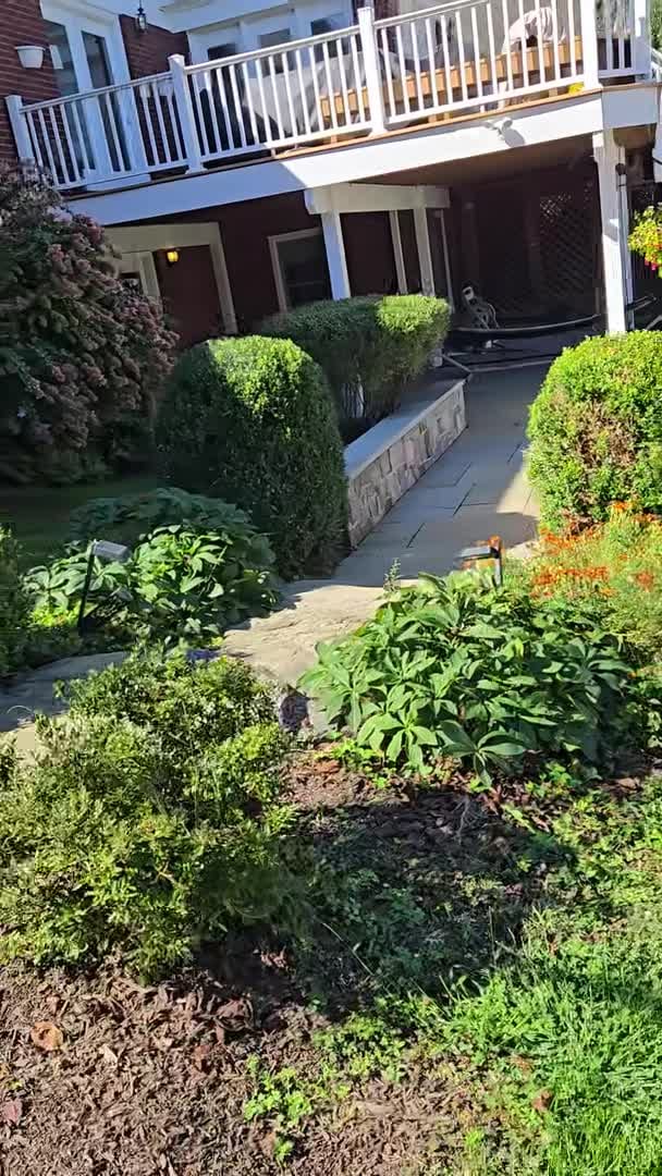 Property video