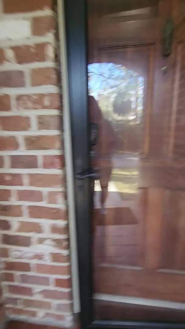 VidĂ©o de lâhĂ©bergement