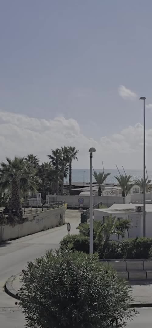 Video realizado por la propiedad