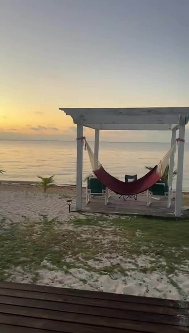 Video realizado por la propiedad