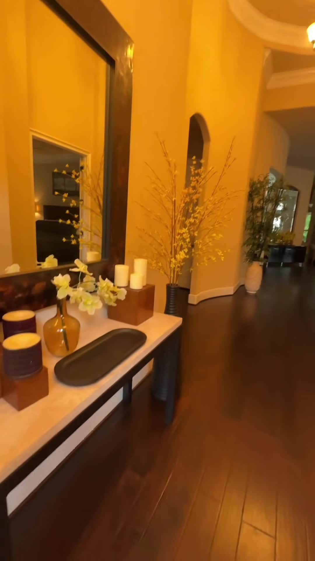 Property video