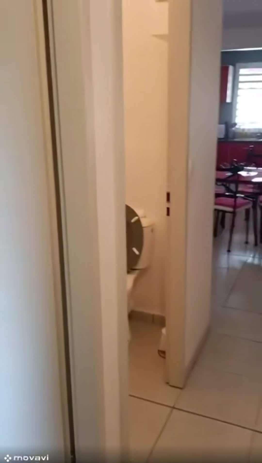 Vídeo da propriedade