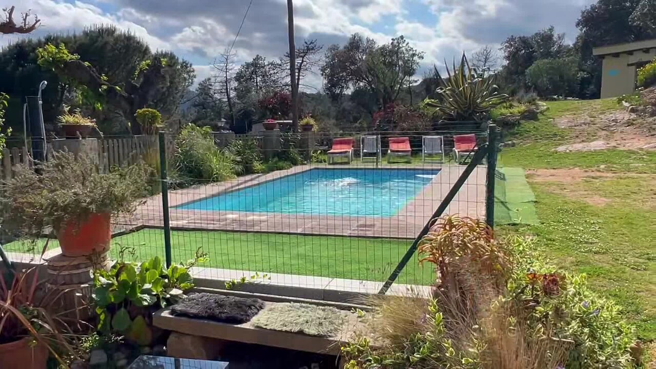 Property video