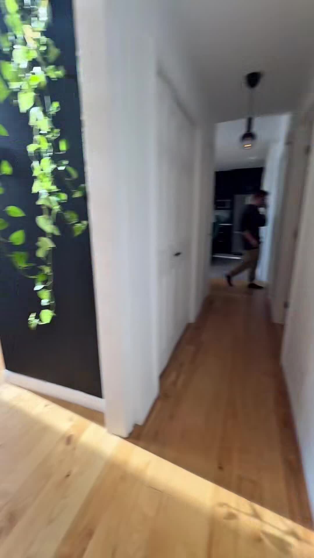 فيديو المنشأة الفندقية