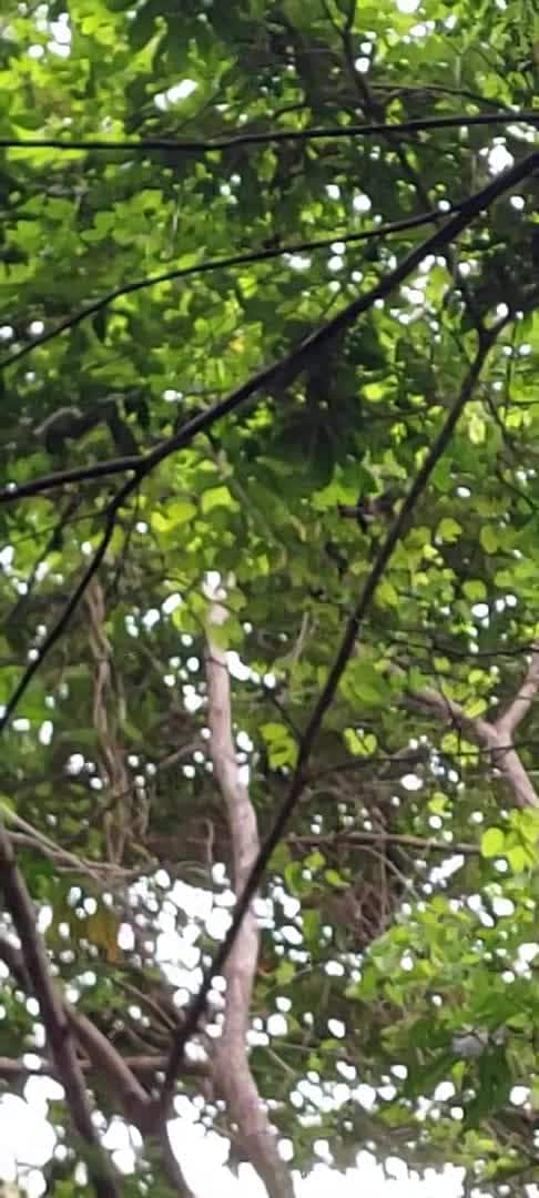 宿泊施設による動画