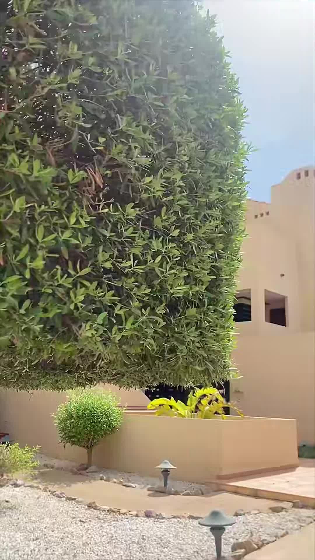 Property video