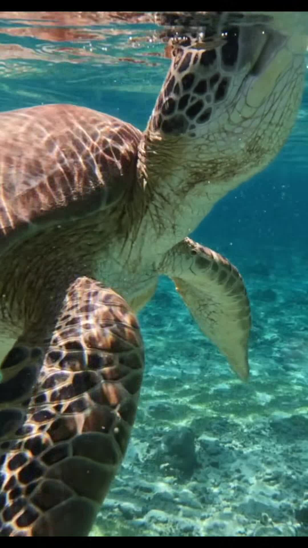 Vidéo de l’hébergement