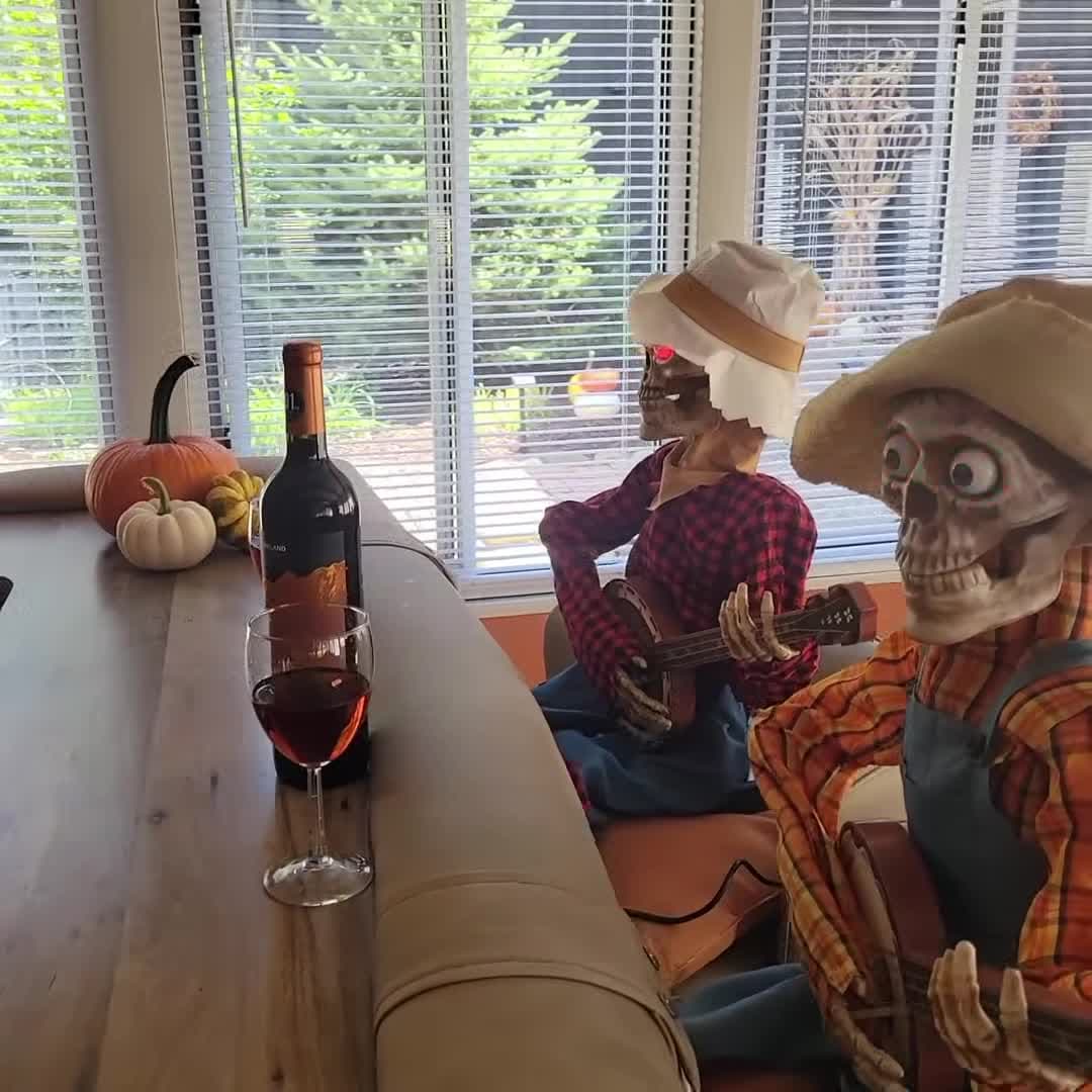 Video realizado por la propiedad