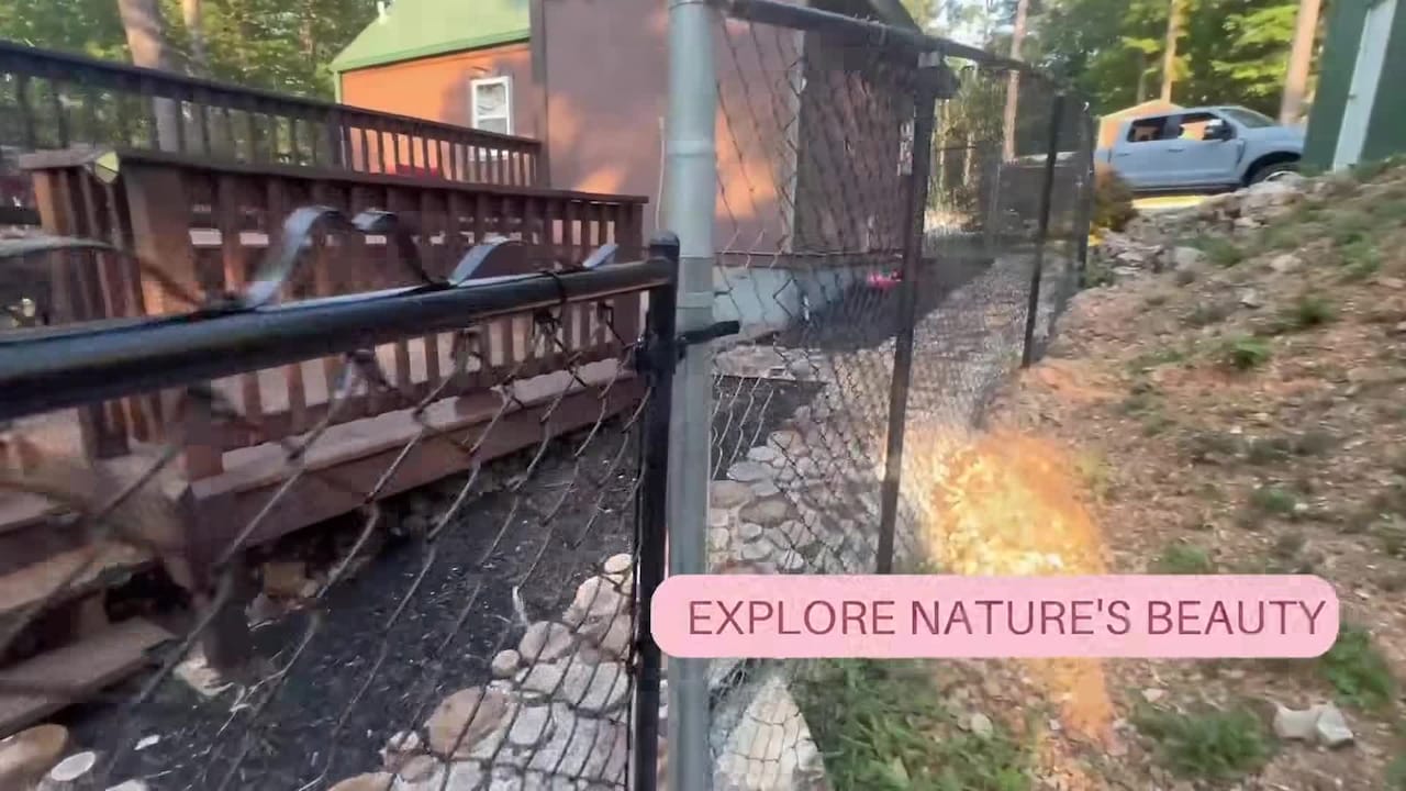 Property video