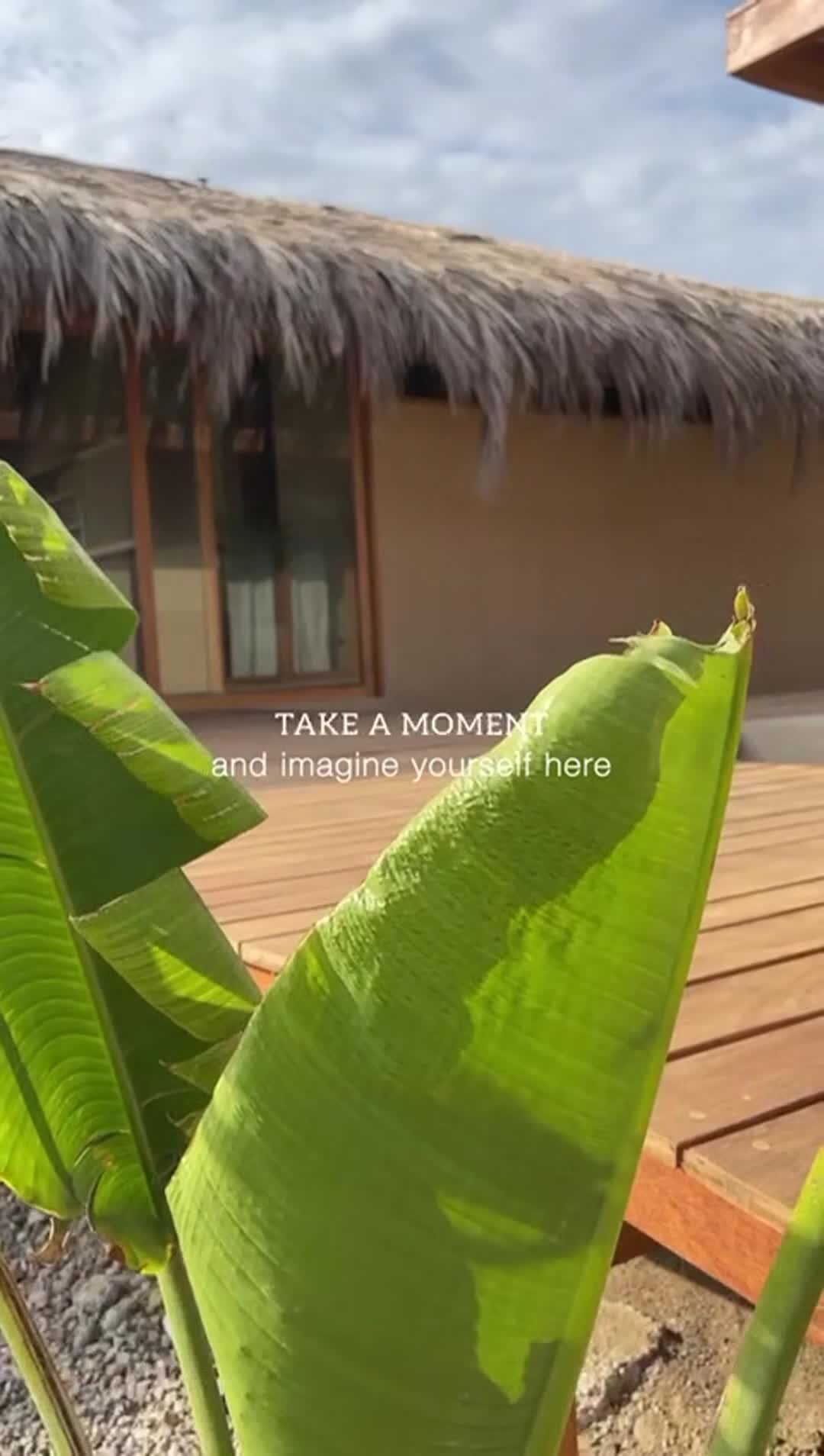 Video der Unterkunft