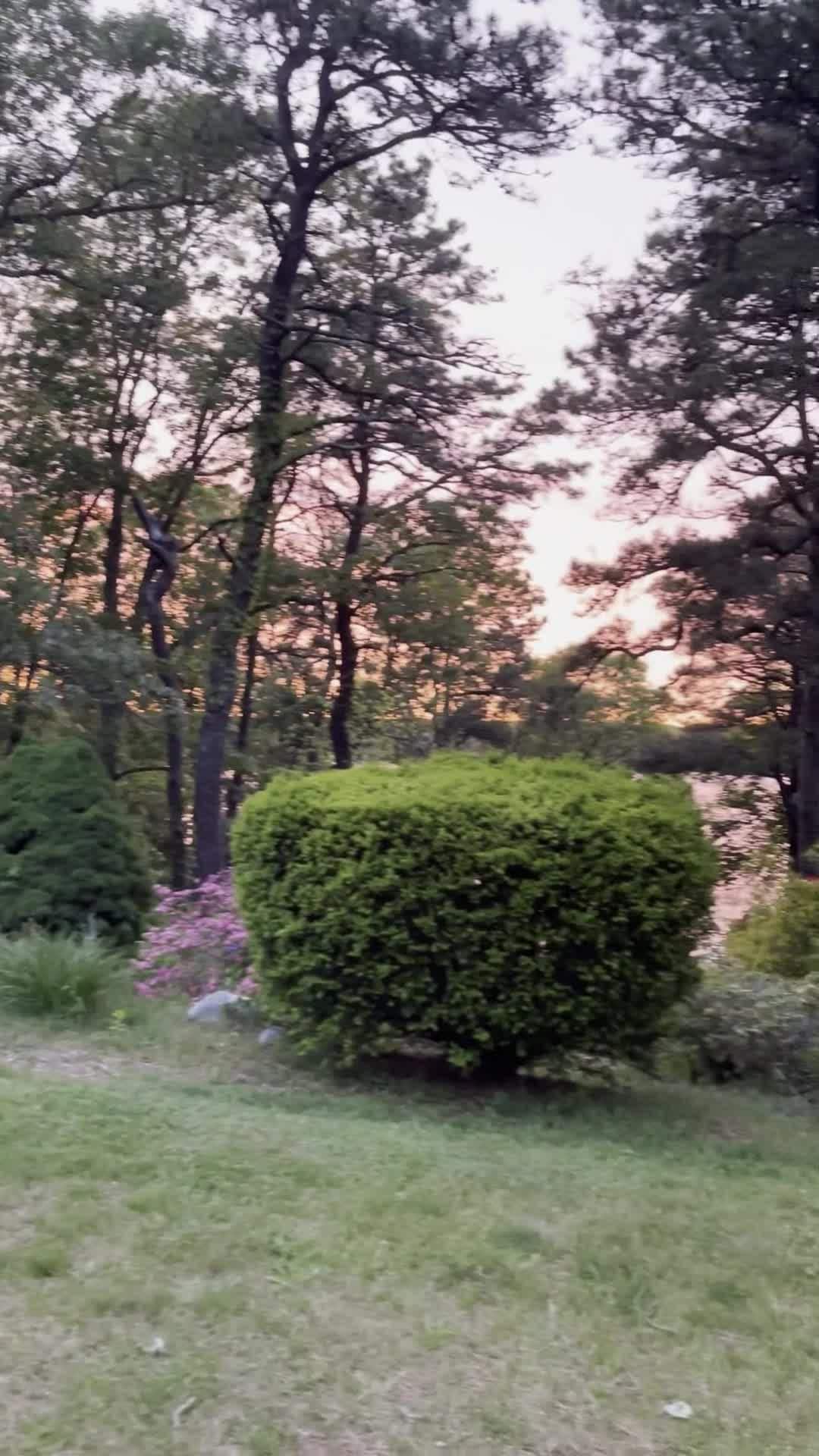 Property video
