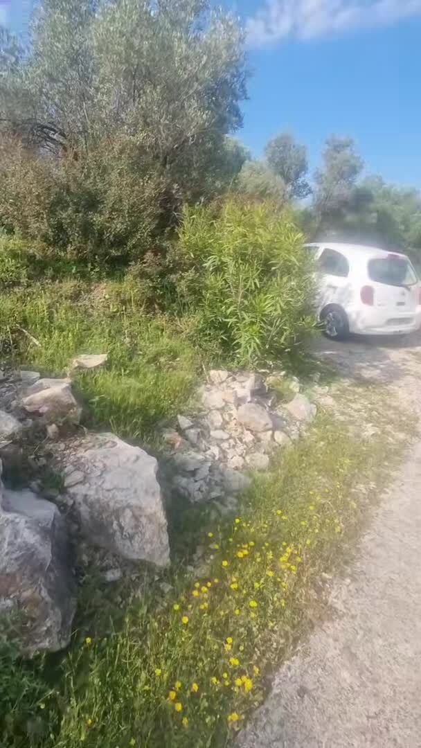Property video