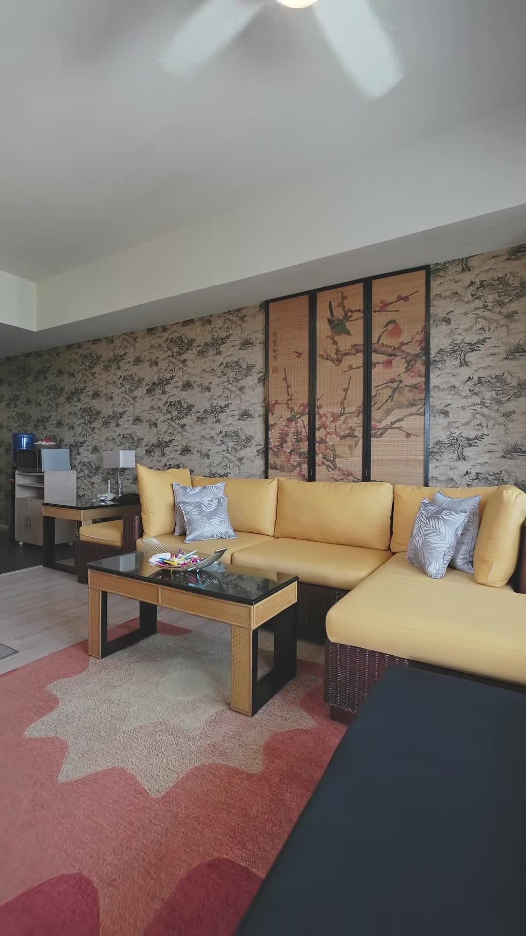 Property video