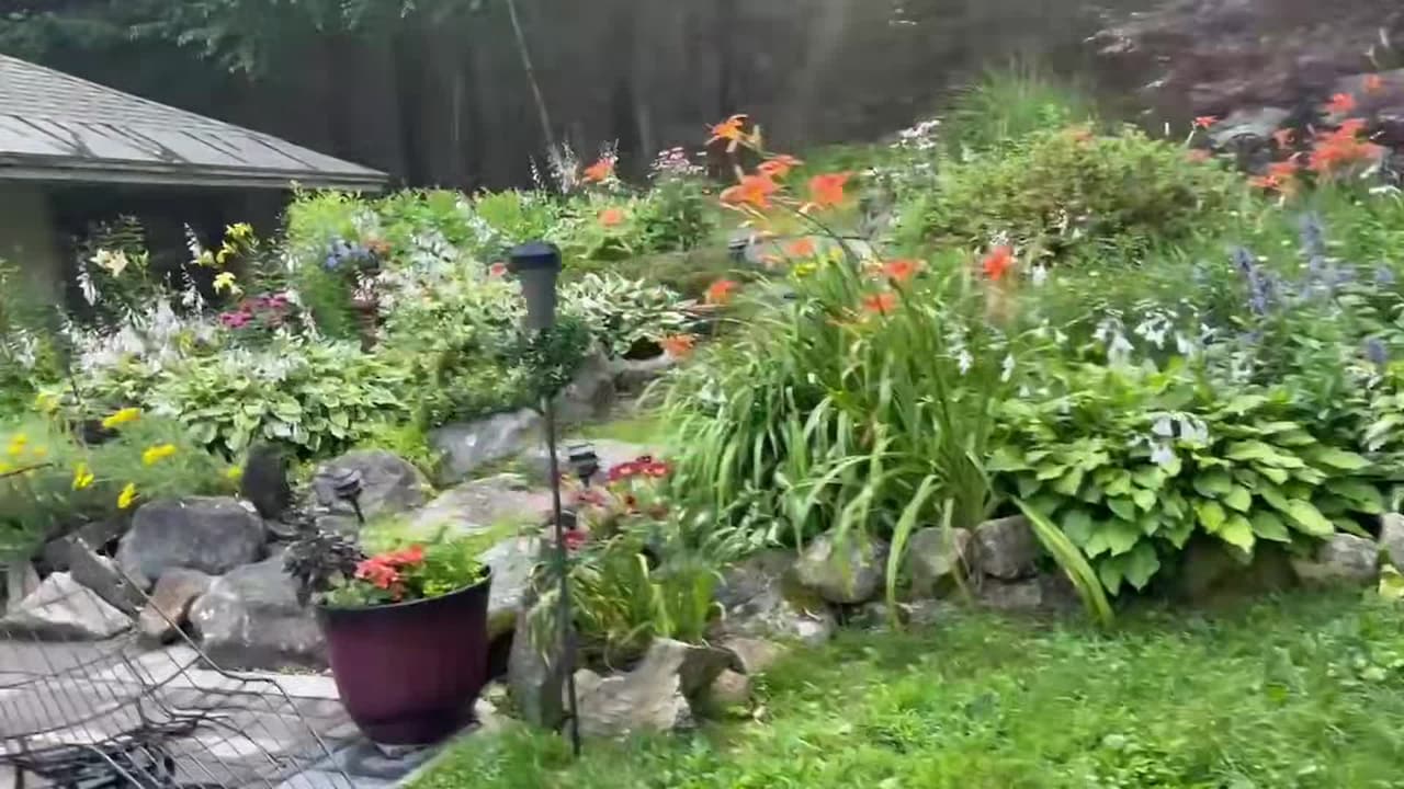 宿泊施設による動画