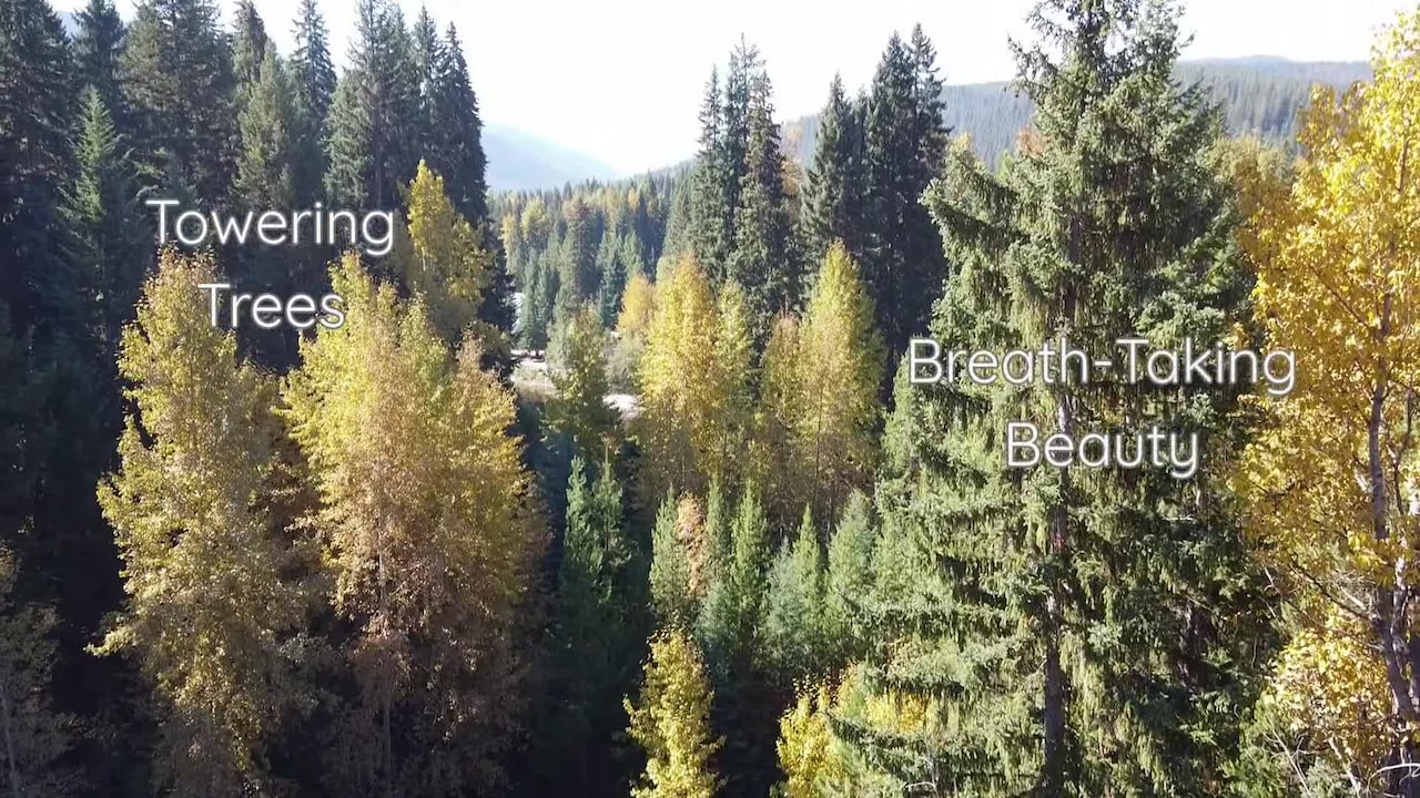 Property video