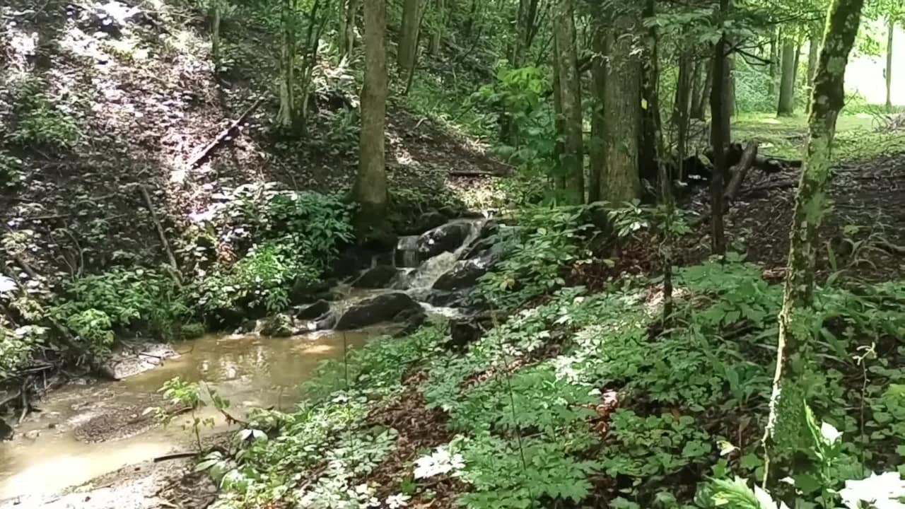 Property video
