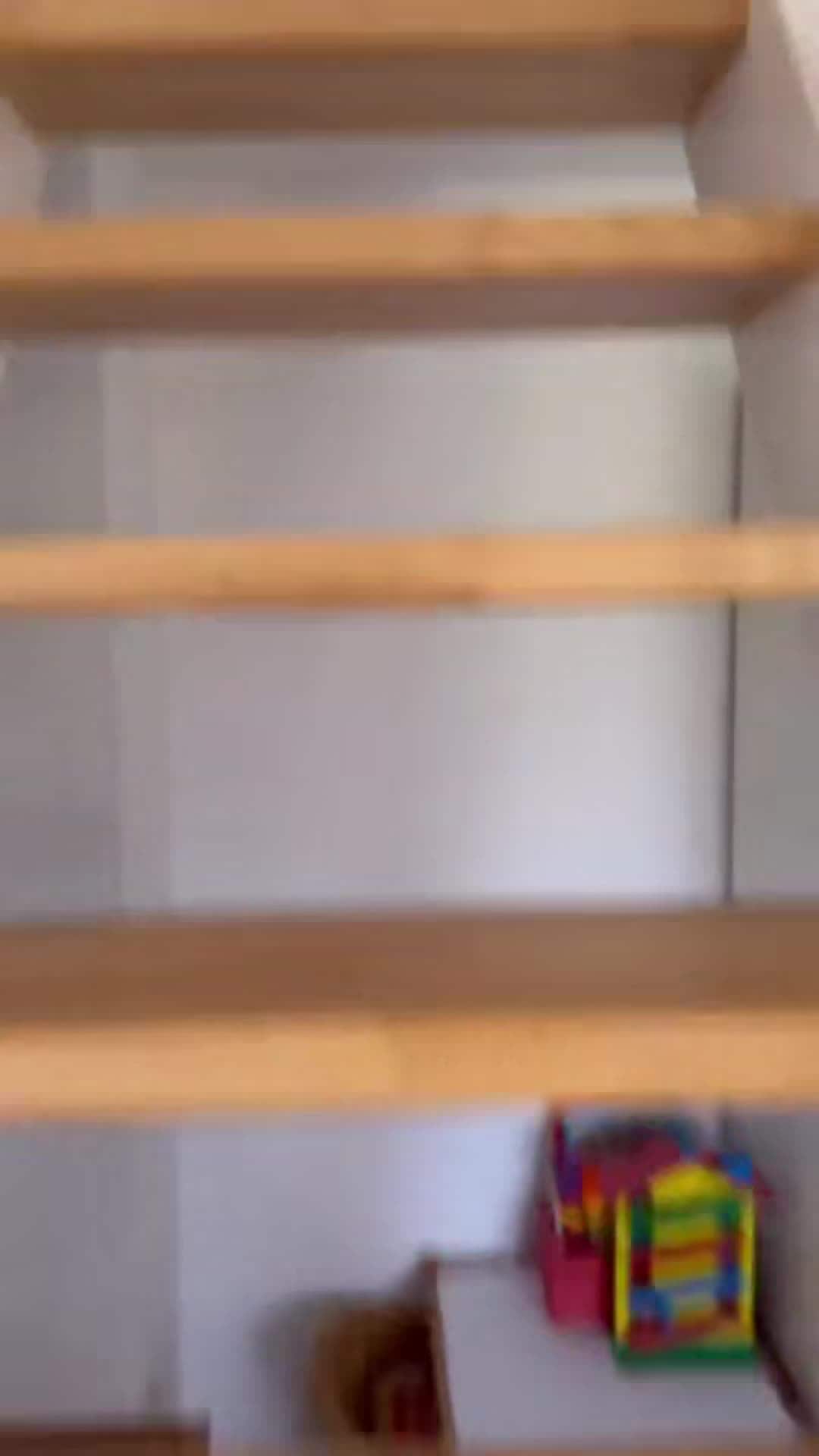 Video realizado por la propiedad