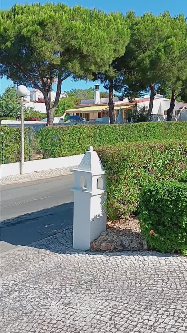 Property video