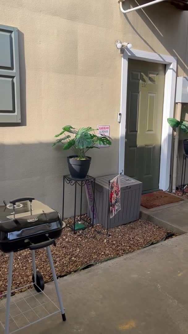Property video