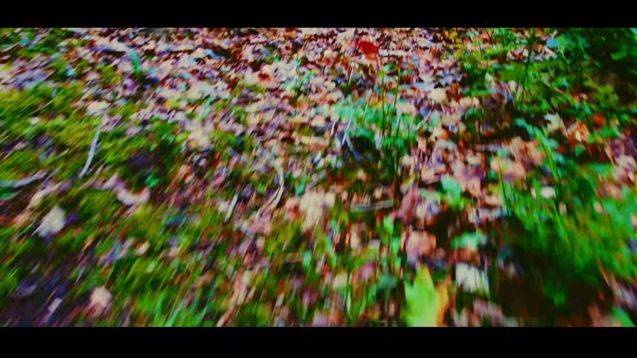 Majoituspaikan video