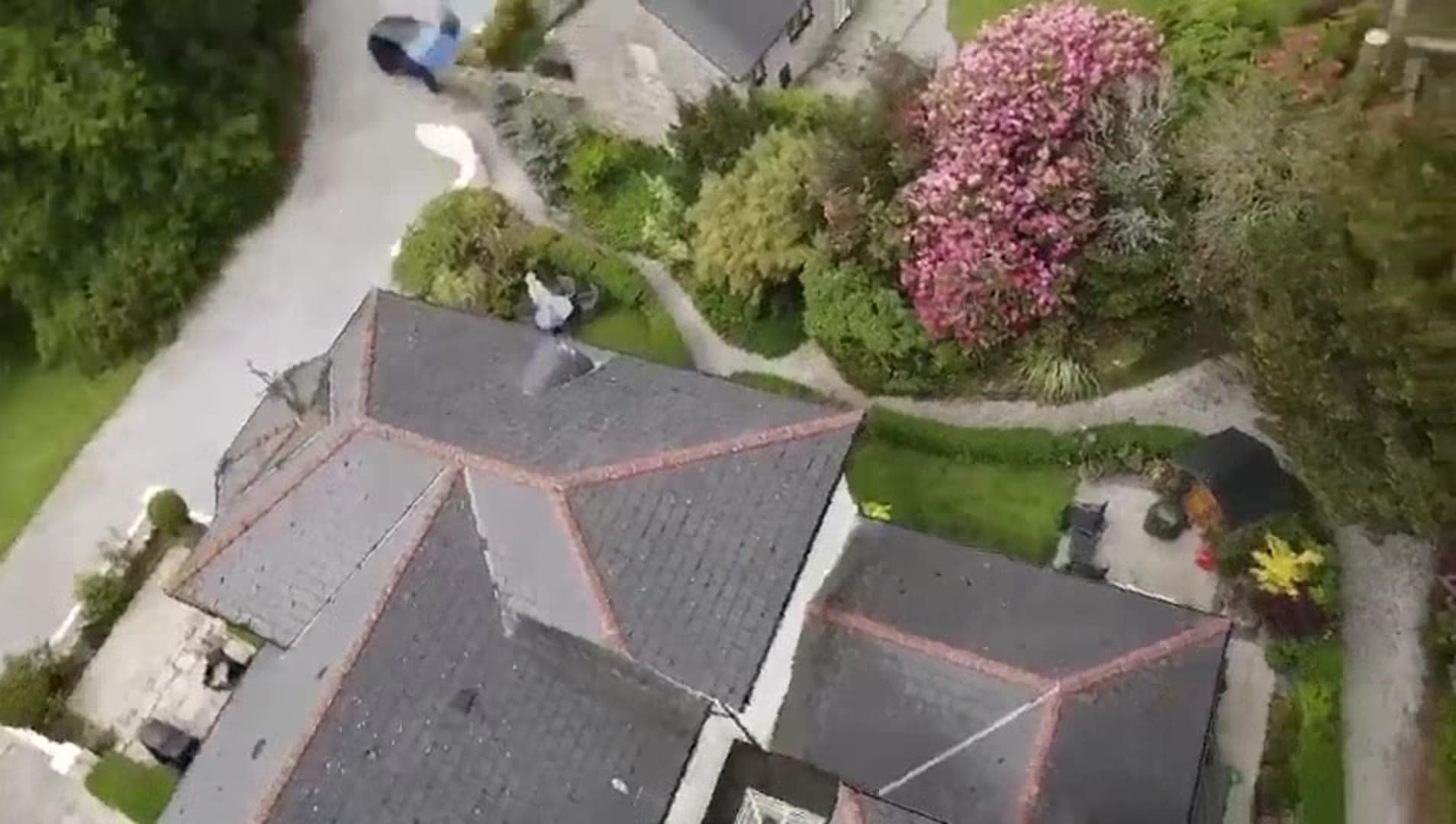 Property video
