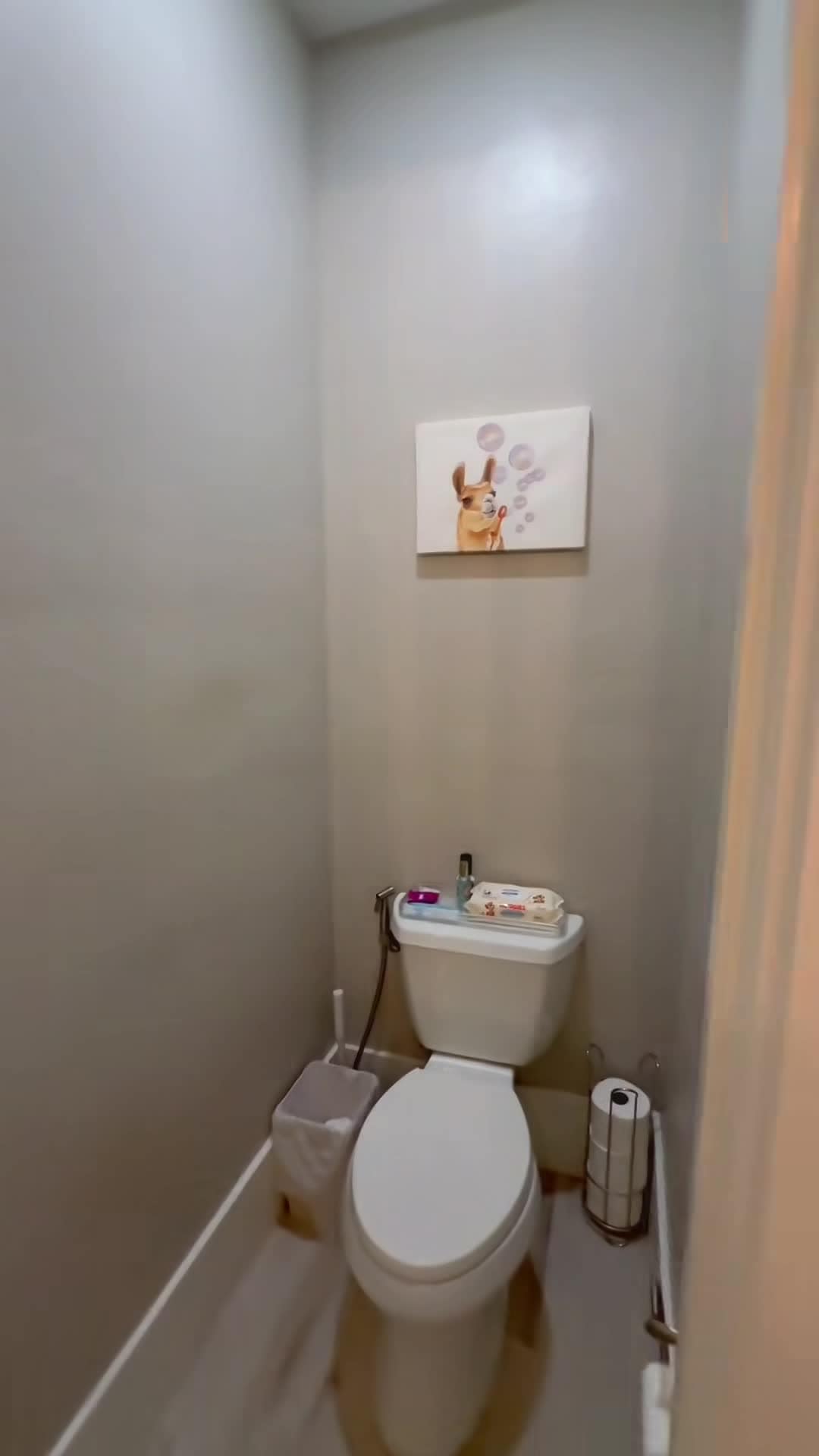Property video