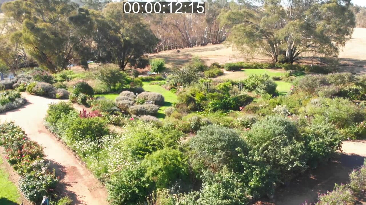 Property video