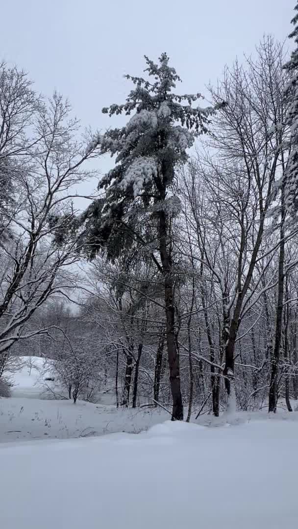 Vidéo de l’hébergement