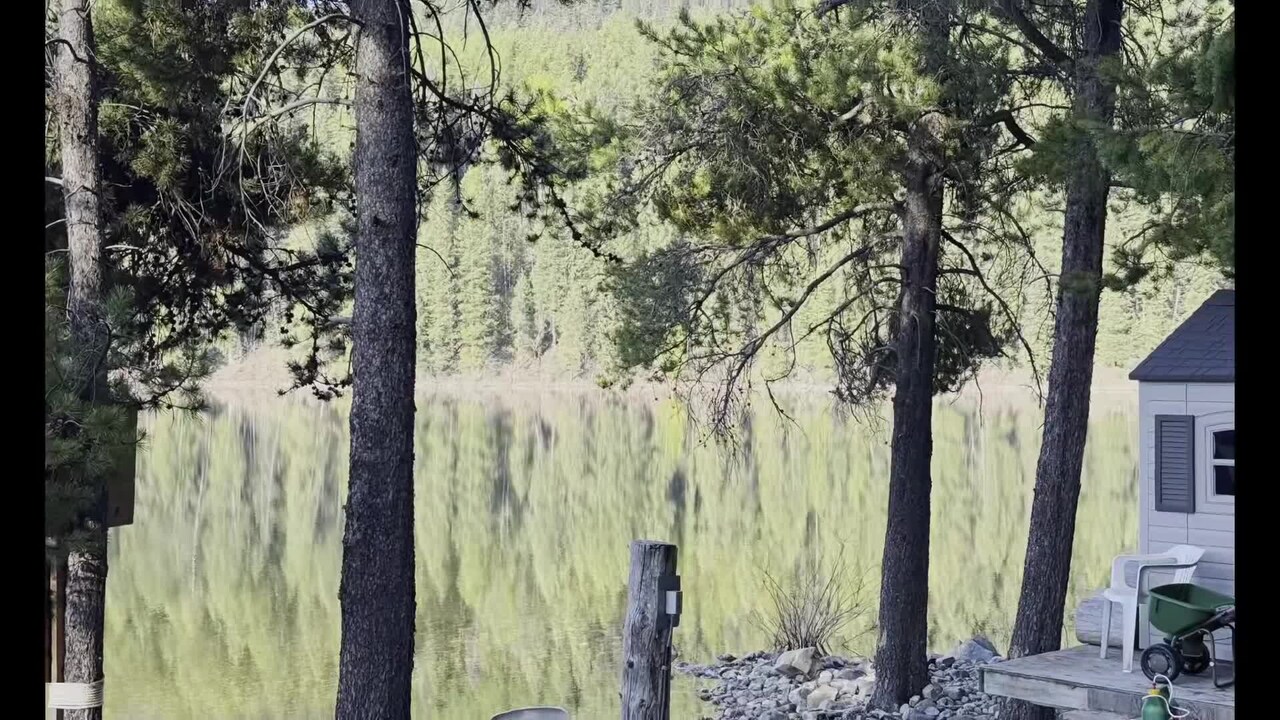 Property video
