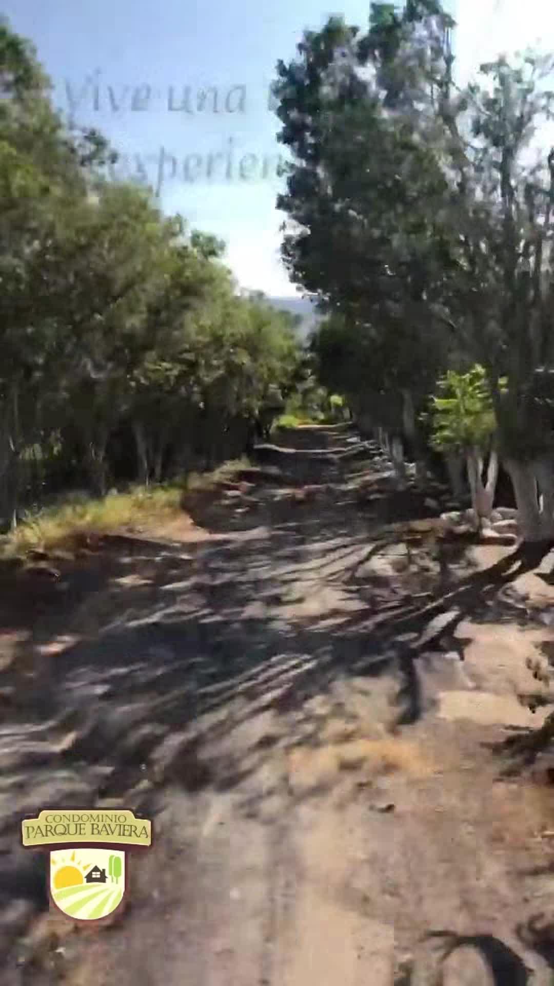 Video struttura