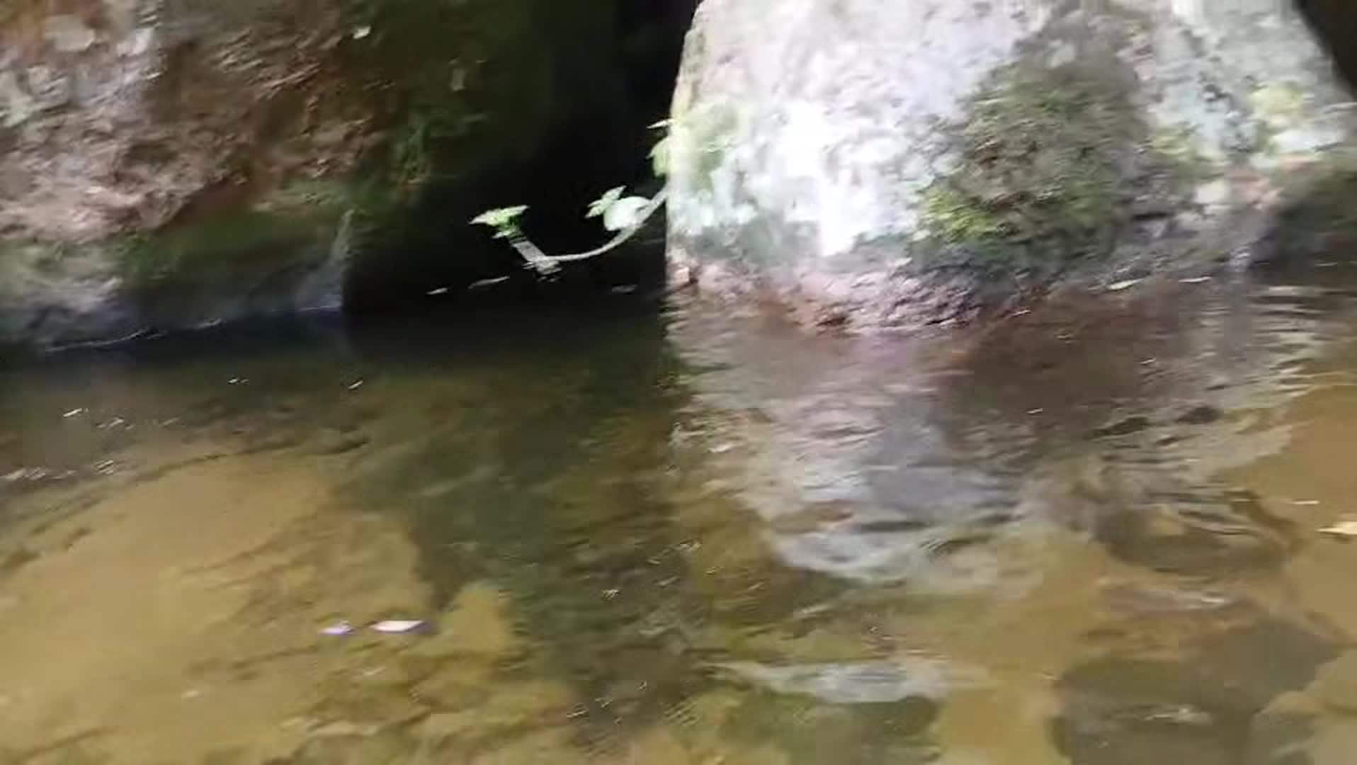 Vidéo de l’hébergement