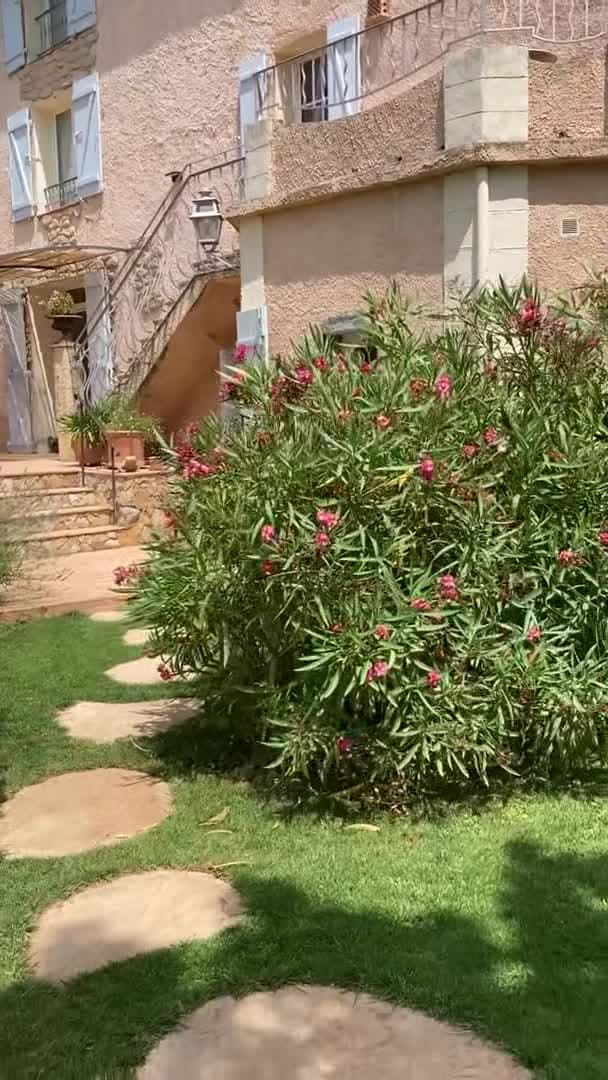 Vídeo da propriedade