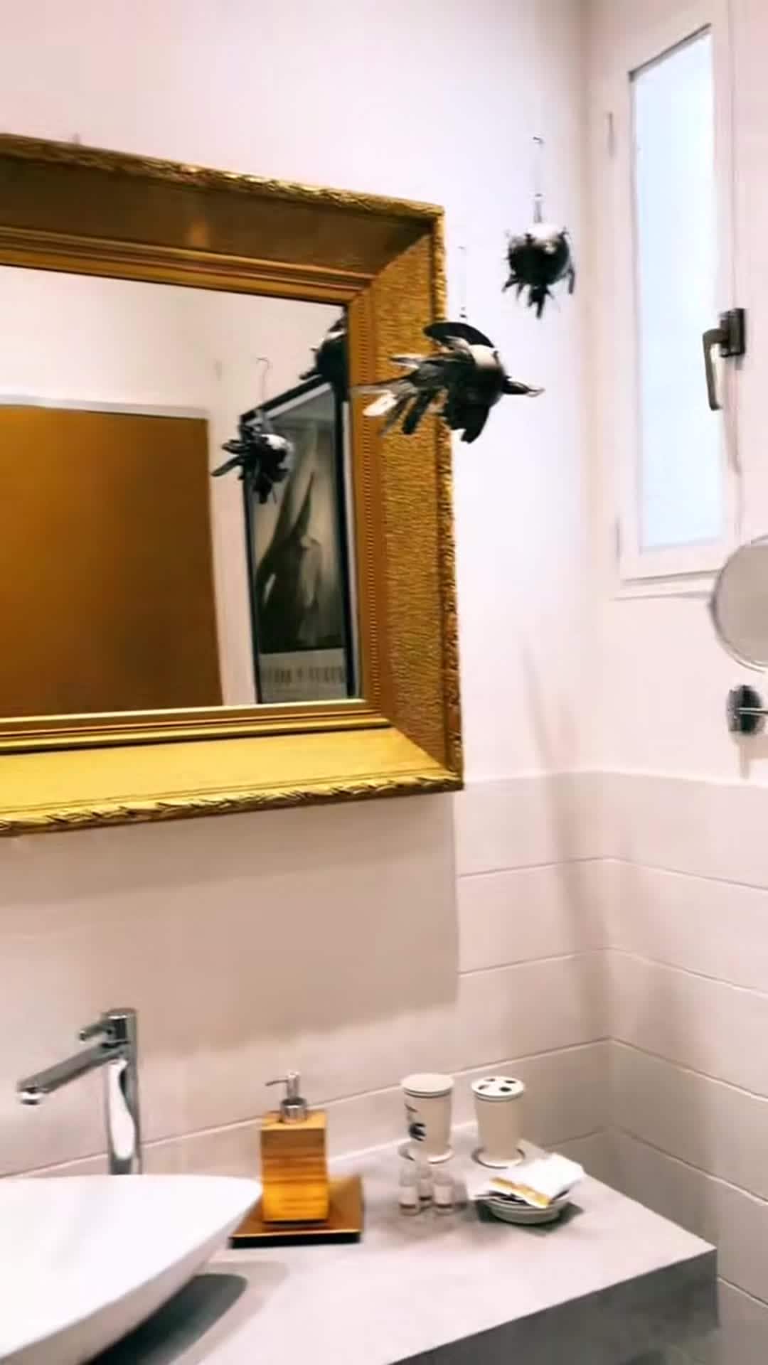 Majoituspaikan video