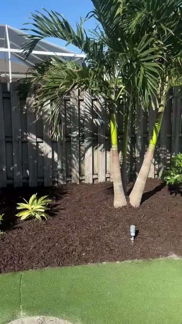 Video realizado por la propiedad