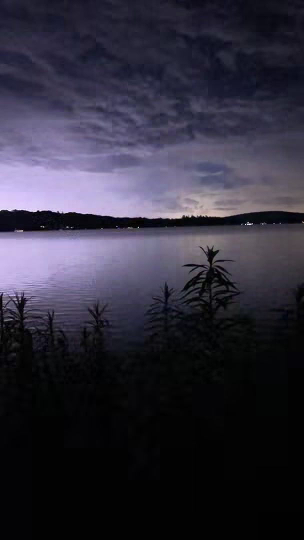 Video struttura
