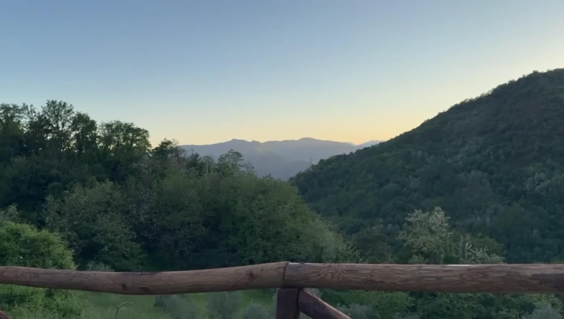 فيديو المنشأة الفندقية