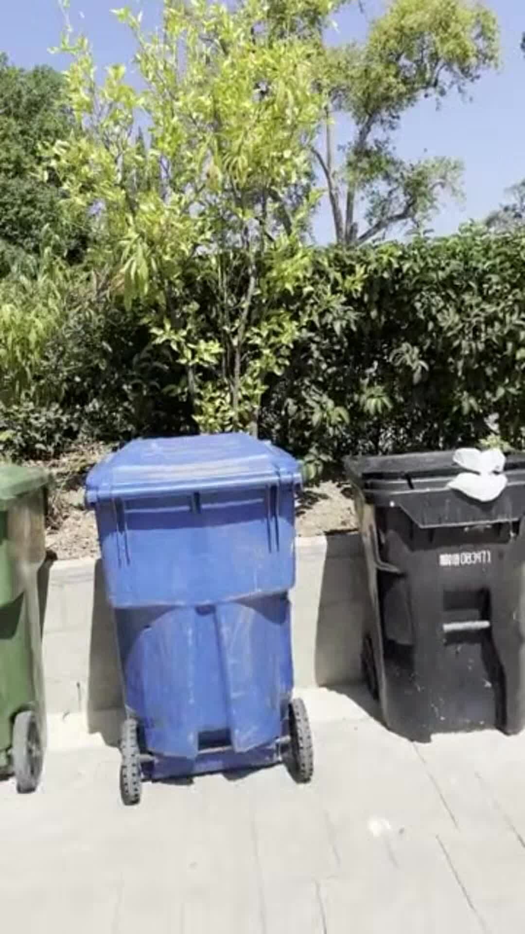 宿泊施設による動画