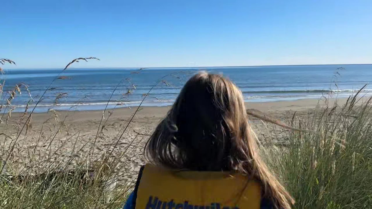 Video realizado por la propiedad